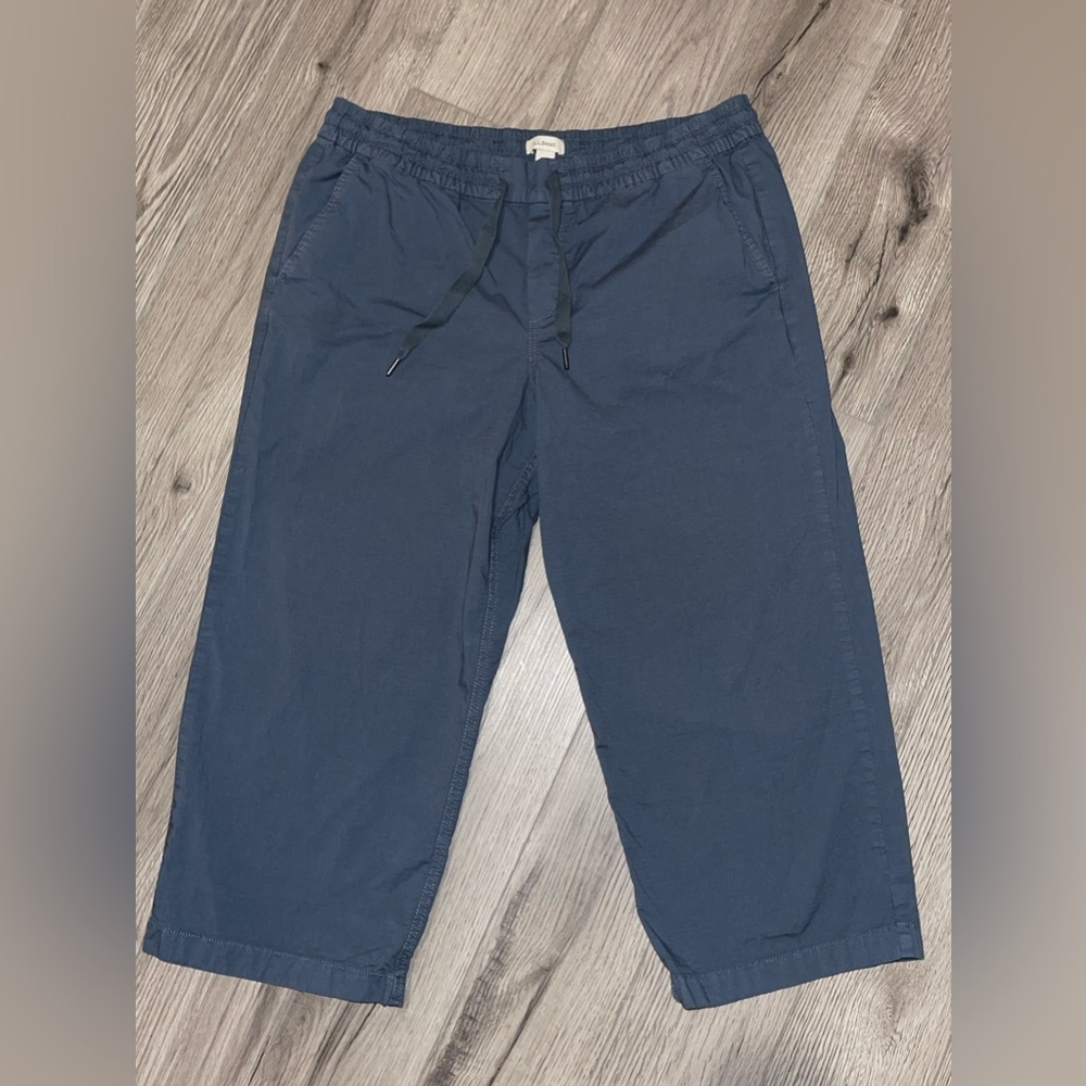 L.L. Bean Women's Stretch Pull-On Pants, Wide-Leg Ankle‎ Petite Large